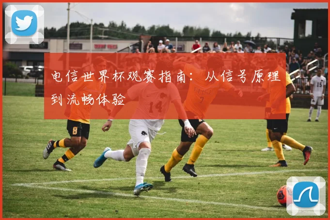 电信世界杯观赛指南：从信号原理到流畅体验