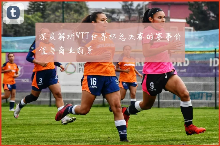 深度解析WTT世界杯总决赛的赛事价值与商业前景