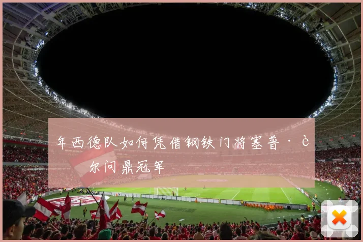 年西德队如何凭借钢铁门将塞普·迈尔问鼎冠军