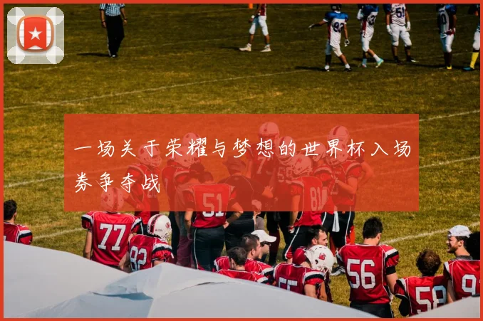 一场关于荣耀与梦想的世界杯入场券争夺战