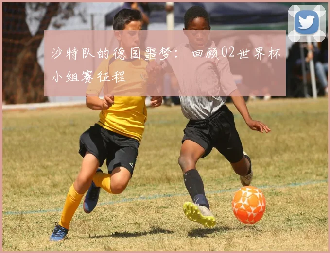 沙特队的德国噩梦：回顾02世界杯小组赛征程
