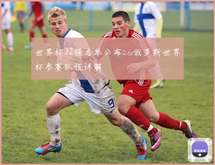 世界杯32强名单公布：俄罗斯世界杯参赛队伍详解