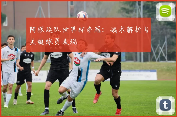 阿根廷队世界杯夺冠：战术解析与关键球员表现